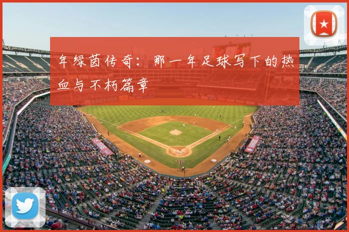 年绿茵传奇：那一年足球写下的热血与不朽篇章