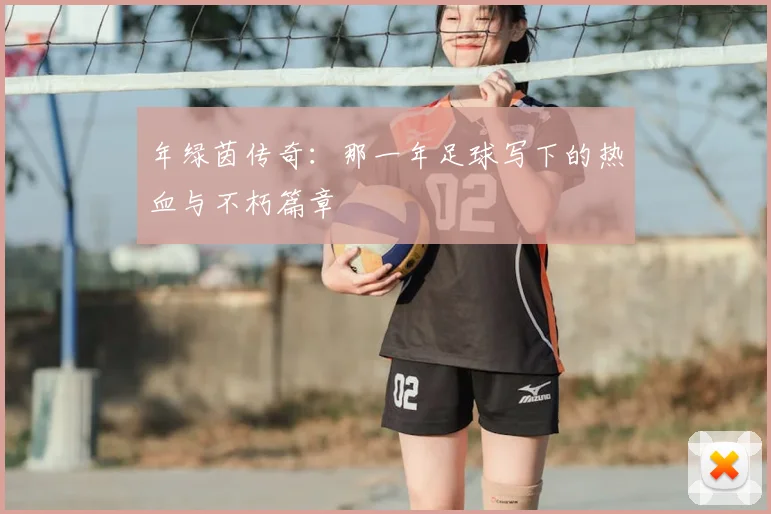 年绿茵传奇：那一年足球写下的热血与不朽篇章