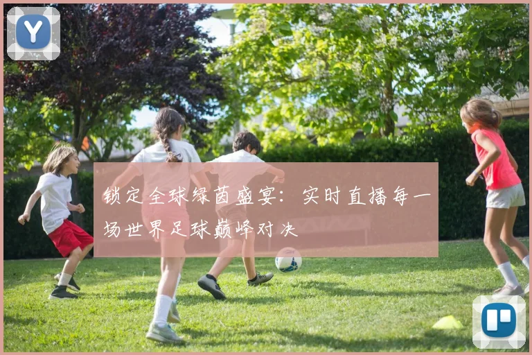 锁定全球绿茵盛宴:实时直播每一场世界足球巅峰对决